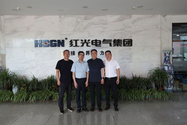 乐清市市场监视局刘勇局长一行莅临NG电子游戏电气集团调研