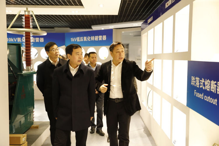 温州市委常委、组织部长马永良莅临NG电子游戏电气集团调研指导